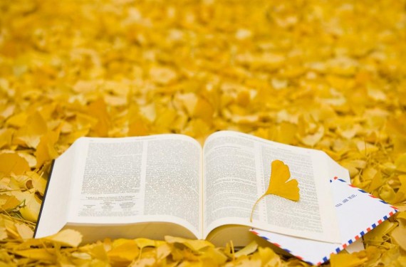 2018jtest复习资料：日语jtest真题