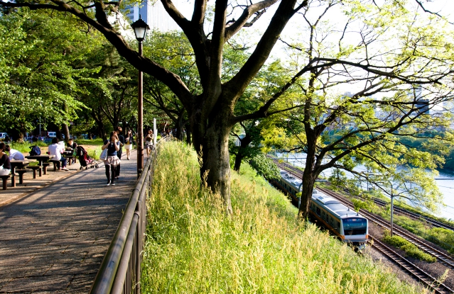 南京日语培训：jlpt语法之助词用法解析