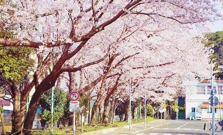 上海jtest培训班：jtest ad级拟声拟态词