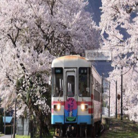 catti二级笔译培训：日语单词学习