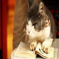 南京jlpt培训：日语常用句型整理 （2）