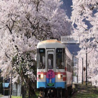 南京jlpt培训：日语常用句型整理 （3）