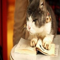 bjt培训:供奉大黑的萝卜