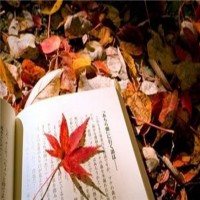 jlpt考试：“て”和“で”可不仅仅是只差“两点”，用法也大有不同！