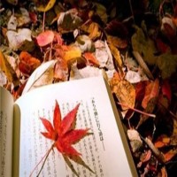 南京jlpt培训：日语常用句型整理 （12）