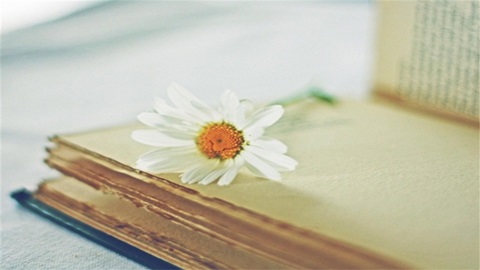 日语词汇中不可思议的表达方式盘点