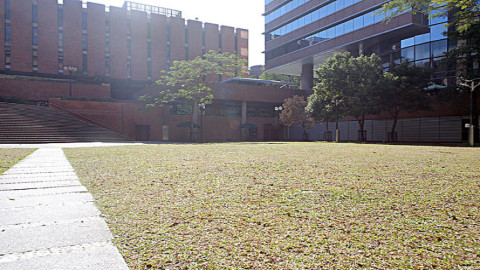 日本文化介绍之源氏物语猫咪“ねうねう”叫