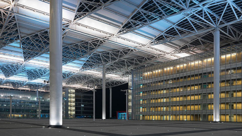 日本“茶柱吉利茶”风俗介绍