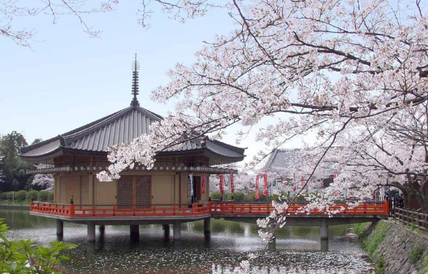 jtest考前辅导：刺激“买买买” 快来和日本学一学