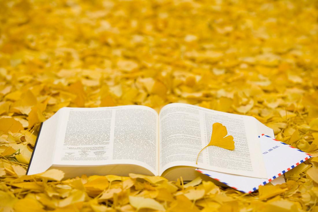 2018jtest复习资料：日语jtest真题