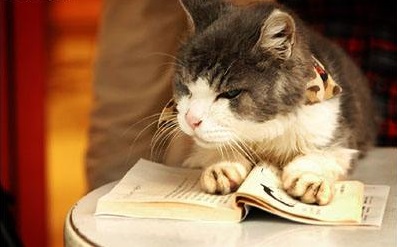 jsst考试培训：常用日语口语