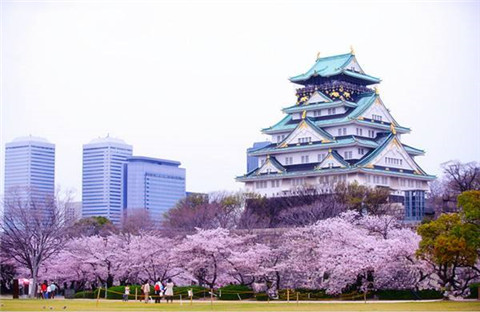 7月jlpt备考：jlpt读解试题