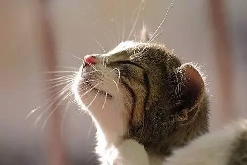 上海jlpt培训：日语常用句型（3）