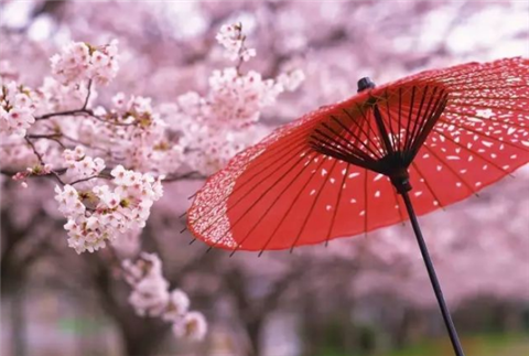 jlpt美文：雨伞下的他和她