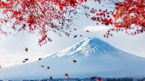 2018年jlpt考试模拟题