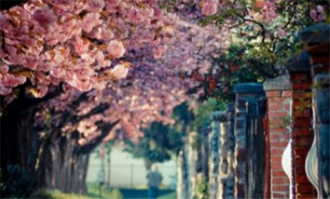 jlpt考试培训：jlpt n2文字词汇学习（16）