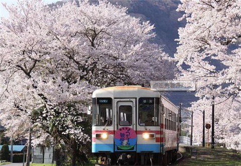 catti二级笔译培训：日语单词学习