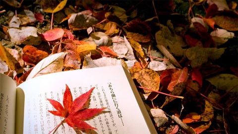 jtest备考攻略解析