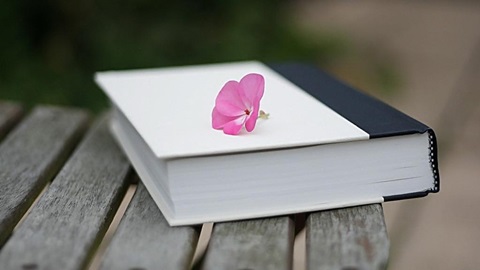 日语核心语法介绍解读