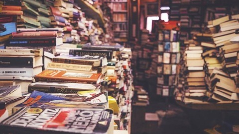 JLPT备考：日语N3语法讲解:せいか