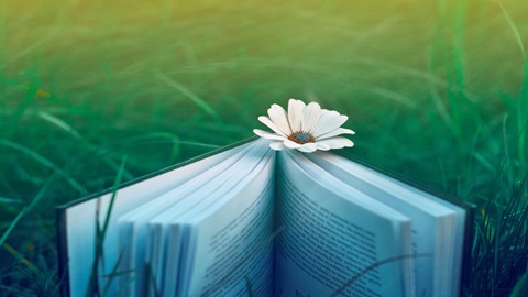 JTEST考试学霸高分经验分享